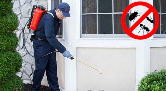 Demirözü Dezenfeksiyon böcek ilaçlama ve haşere kontrolü — ilaclama-tr.com
